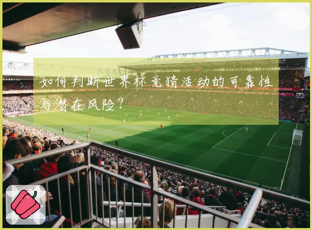 如何判断世界杯竞猜活动的可靠性与潜在风险？