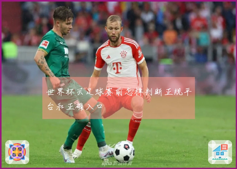 世界杯买足球赛前怎样判断正规平台和正确入口