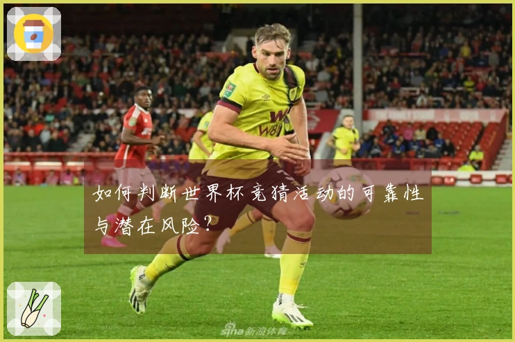 如何判断世界杯竞猜活动的可靠性与潜在风险？