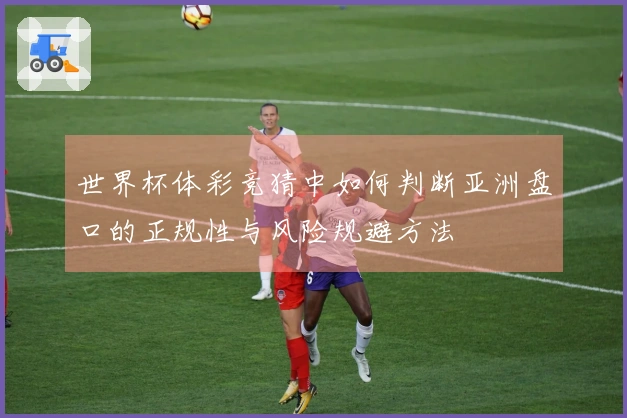 世界杯体彩竞猜中如何判断亚洲盘口的正规性与风险规避方法